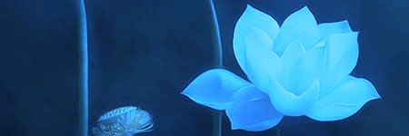 ᴢʜᴜᴀɴɢ ʜᴀᴏʀᴀɴ's banner
