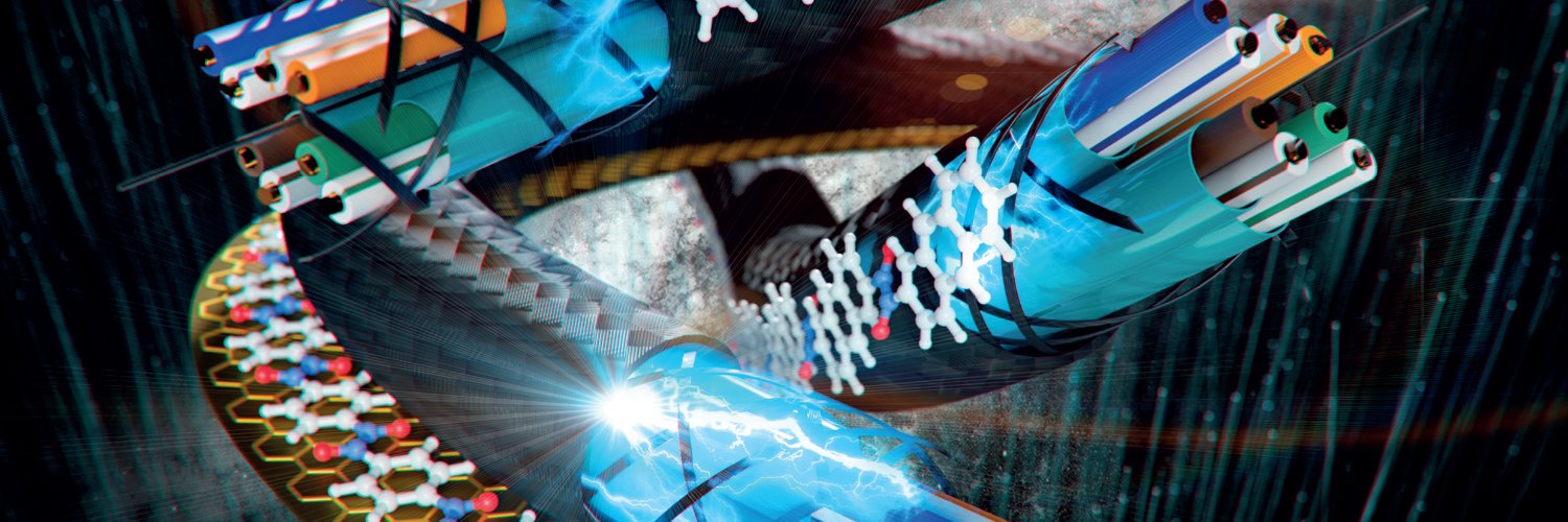 Igor Roncevic banner