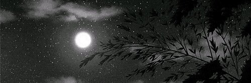 Girl_snipeer's profile banner image