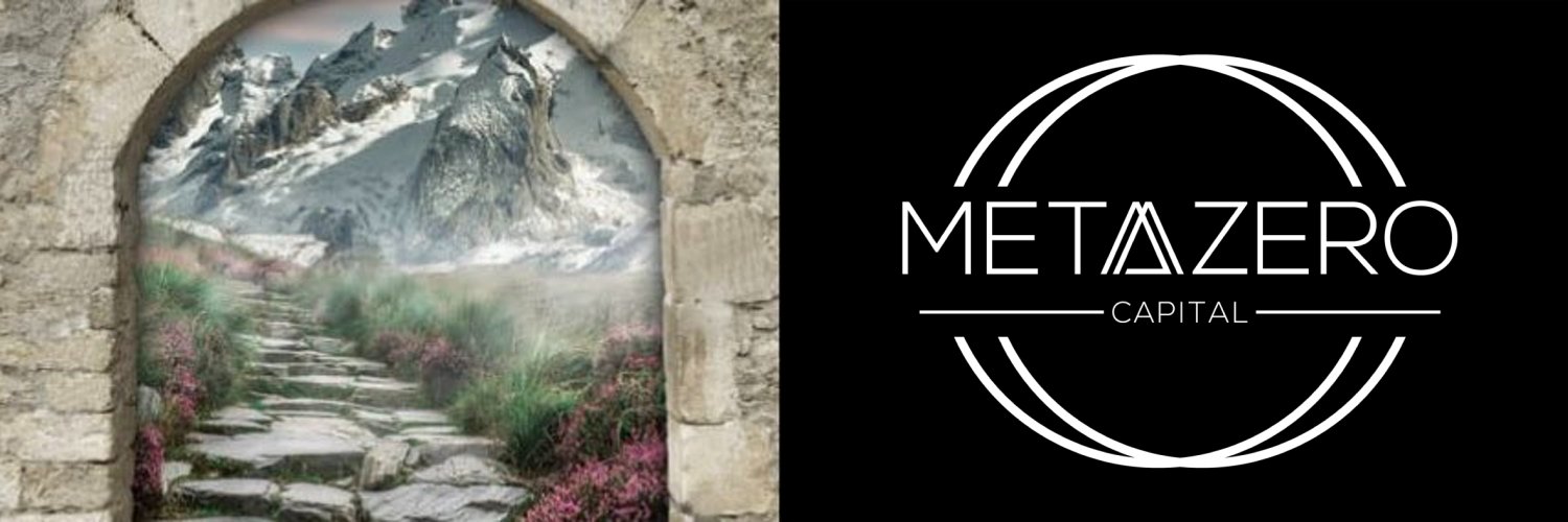 Metazero Capital banner