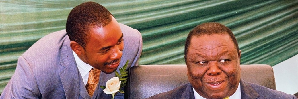 Zimbabweans in Europe banner