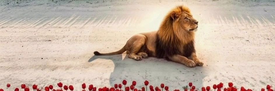 BehzadKamyab1's profile banner image
