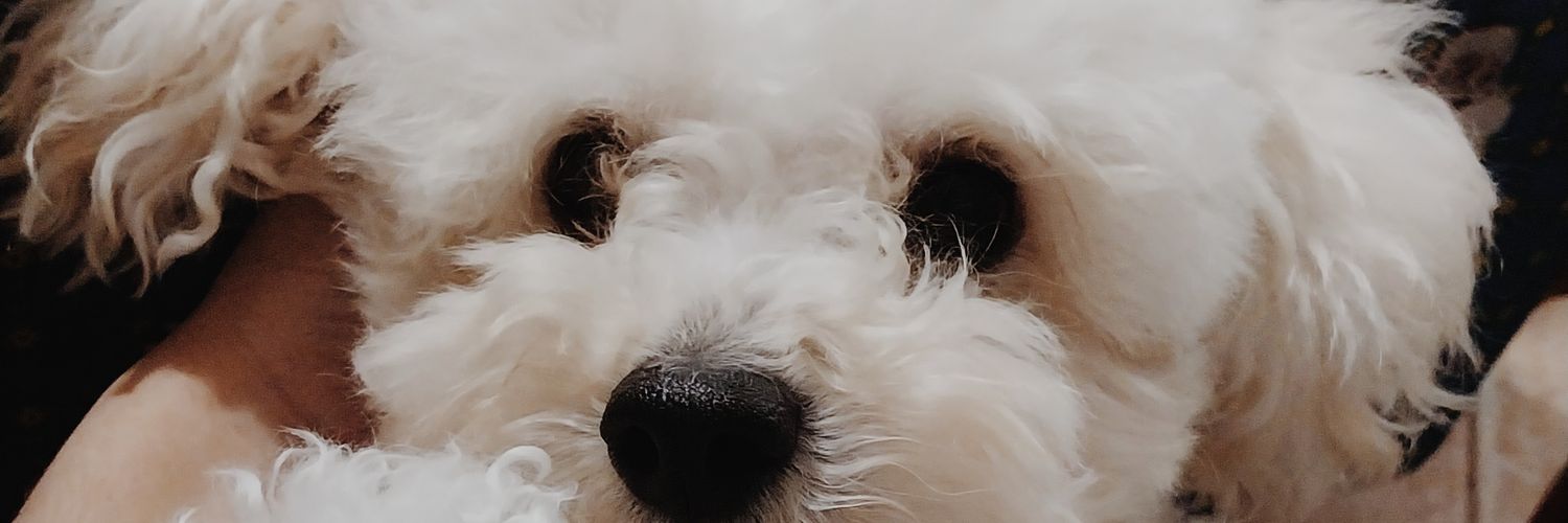 lu banner