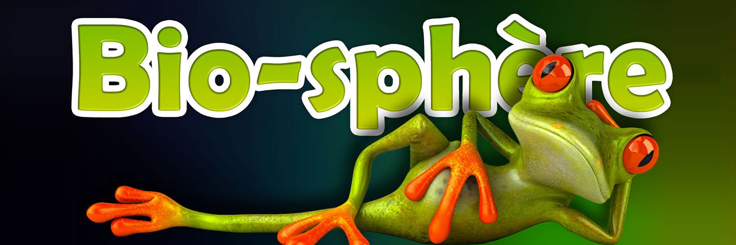 les_grenouilles's profile banner image