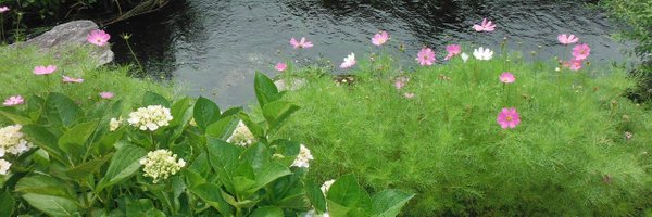 autocamp Profile Banner