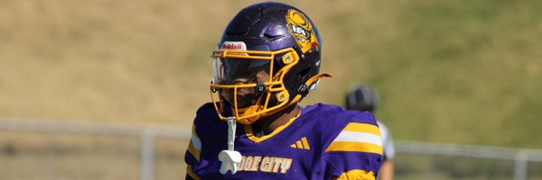 Amarian2Louis Profile Banner