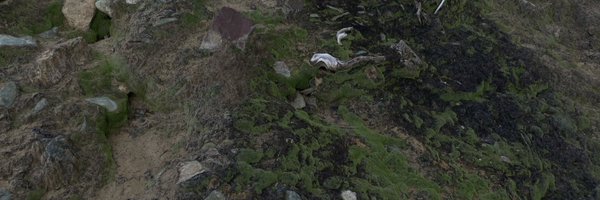 dontfwpendejas Profile Banner