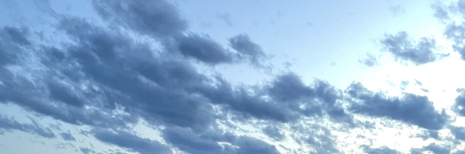 l0_p63's profile banner image