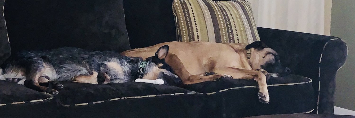 Graham_Powers19 banner