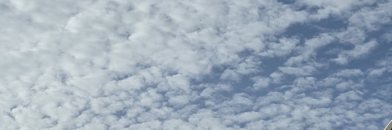 n banner