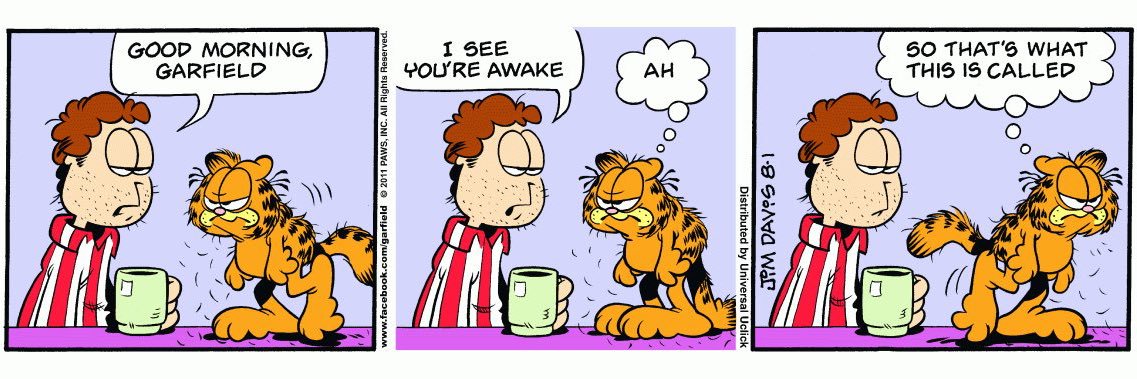 it’s GARFing time ™ 🐈 banner
