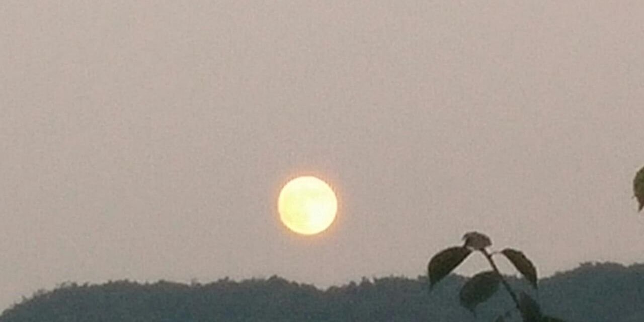 wangsoo's profile banner image