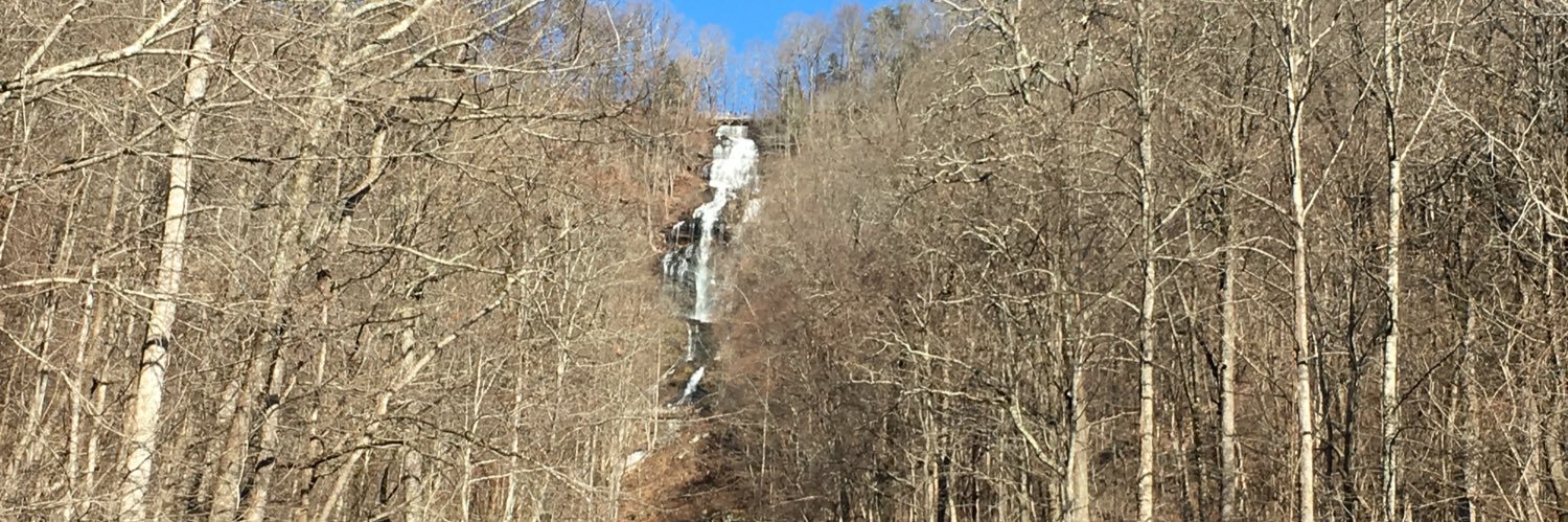 🙏🇺🇸👍🏻 pignstring banner