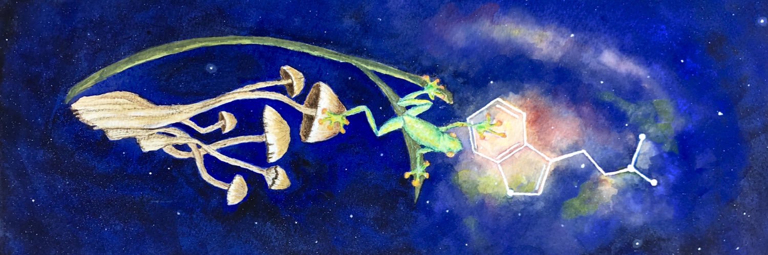 Summer_nightss's profile banner image