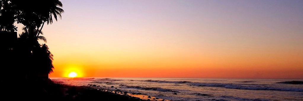 Patty36005104's profile banner image