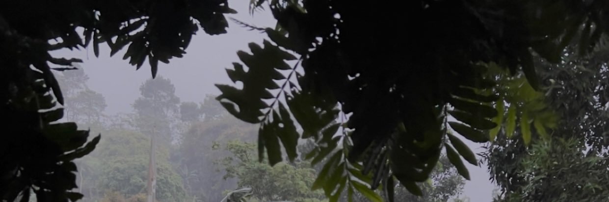 cuiie4's profile banner image