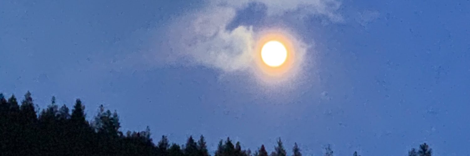 redroseranch's profile banner image