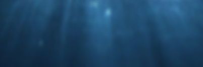 blueeewhaleee's profile banner image