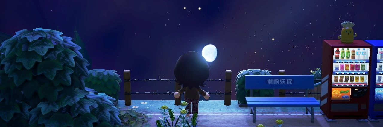 nor 🌦 banner