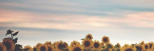 Memory banner