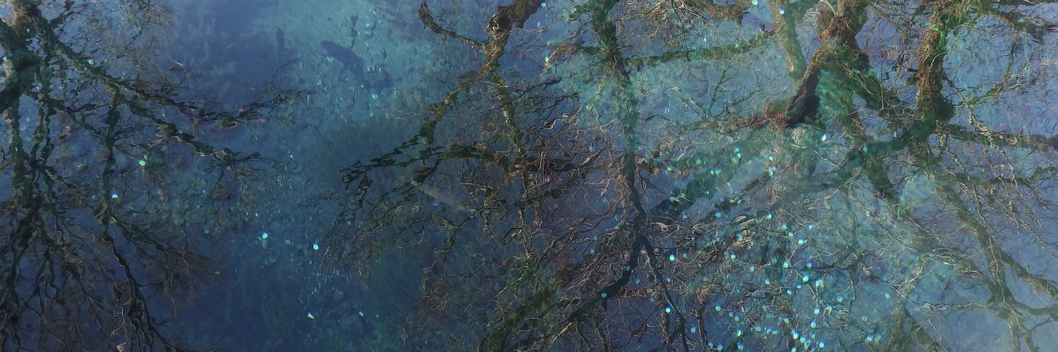 a3095194's profile banner image