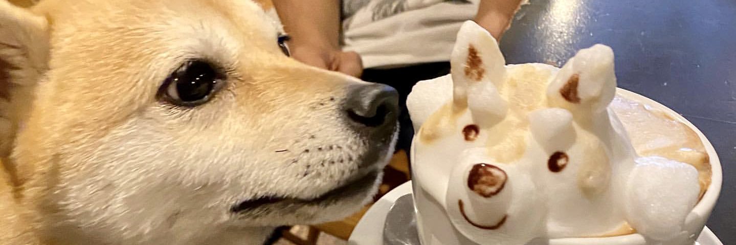 sansan_52's profile banner image