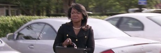 memoirs of a stunt queen banner