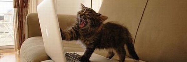 Dilo con gatitoz's banner