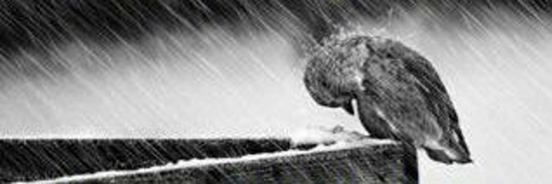PravinTheOne's profile banner image