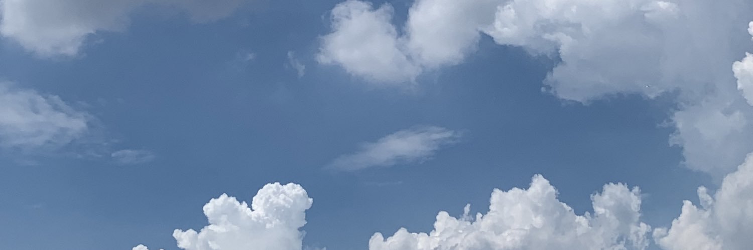 pinuls's profile banner image