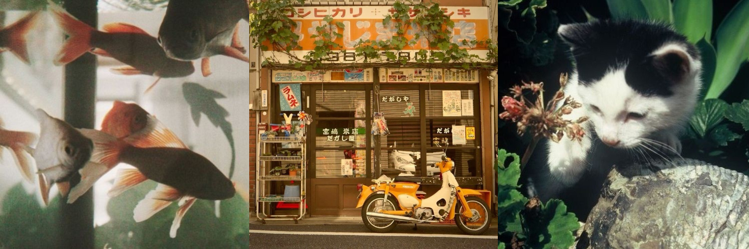 top 5 lgbt videos banner