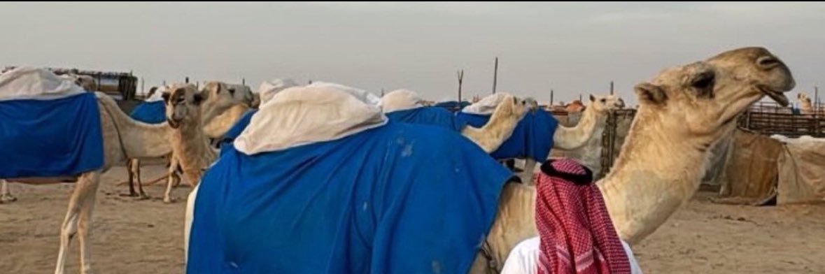 مرشد مطلق الشقران . banner