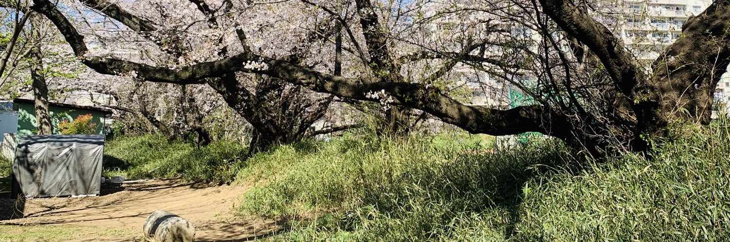 mjmiyama's profile banner image