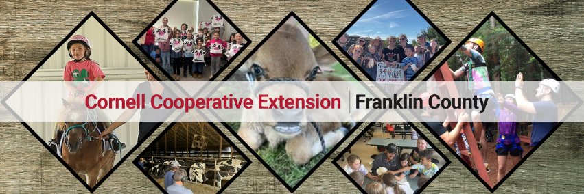 CCEFranklin's profile banner image