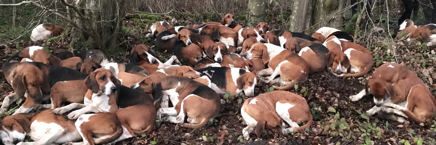 Aimy Giverdon banner