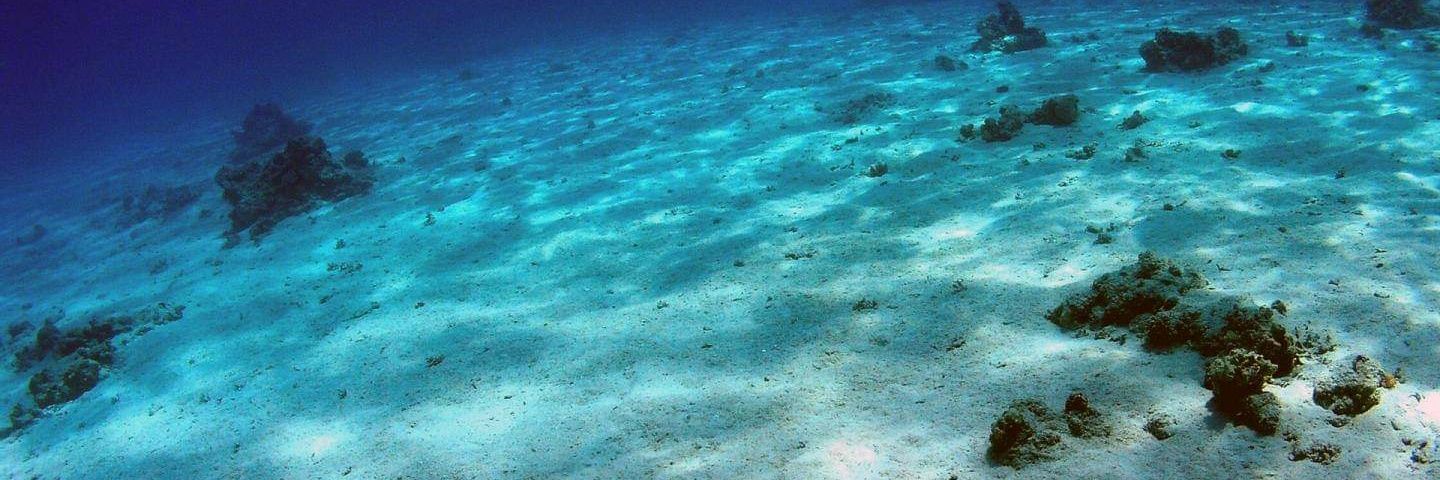 Maria Michael banner