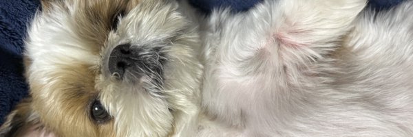 MTS_09 Profile Banner