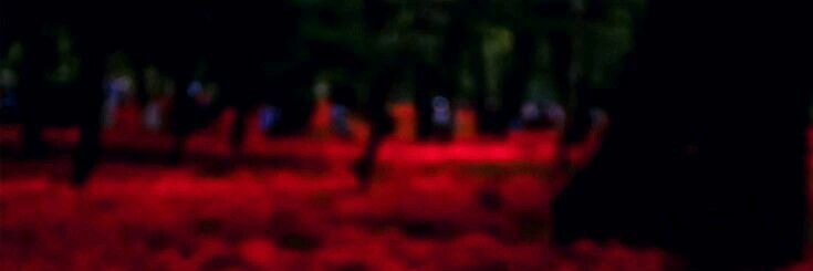 อยากมีความรัก!!🌹 banner