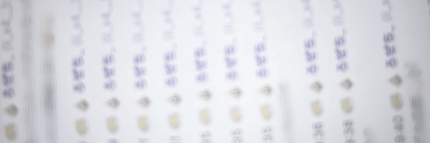 ろぜち banner
