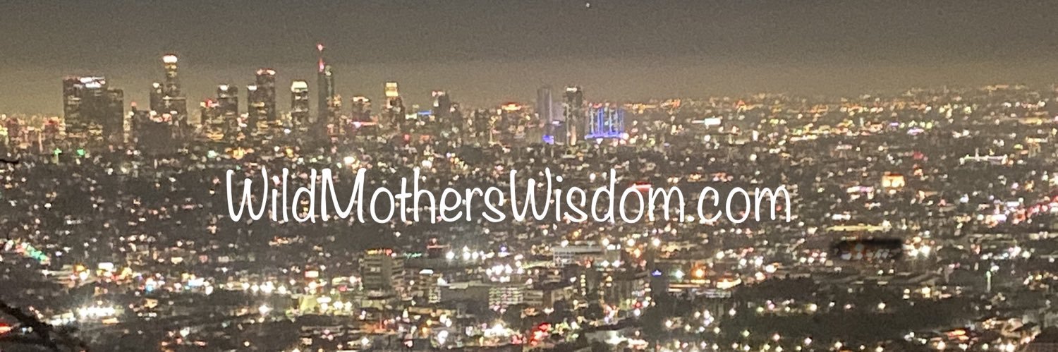 CindyMAndersen's profile banner image