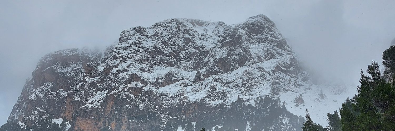 Daniel Bonet banner