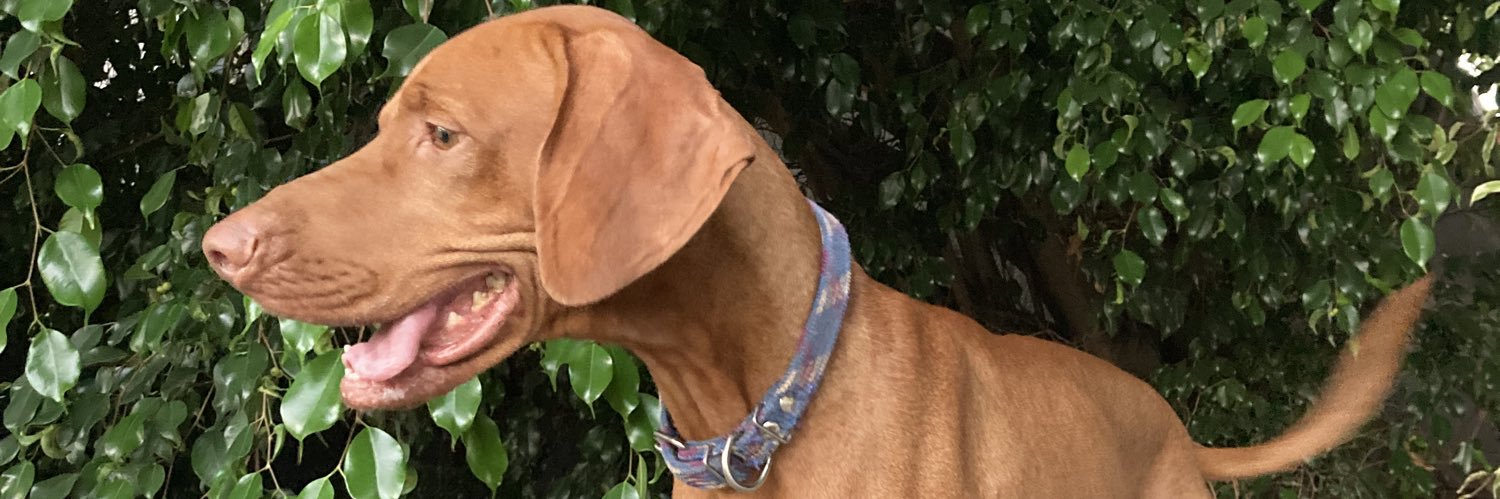 Fernando Beltra banner