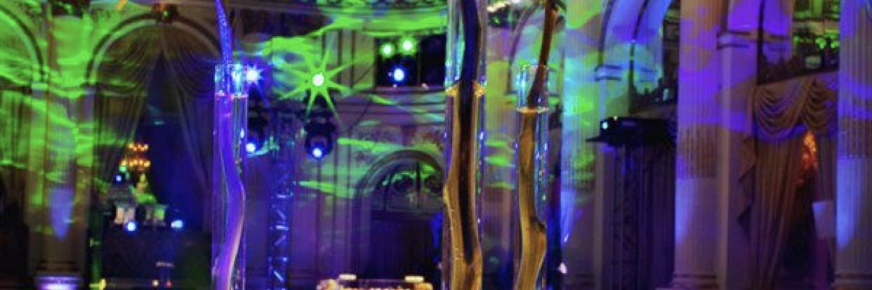 Shrooms of Wisdom banner