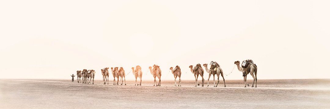 Karl Lester 'Kane' M. Yap banner