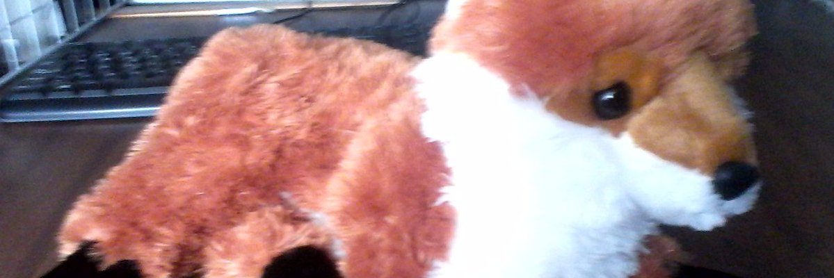 Zafidan's profile banner image