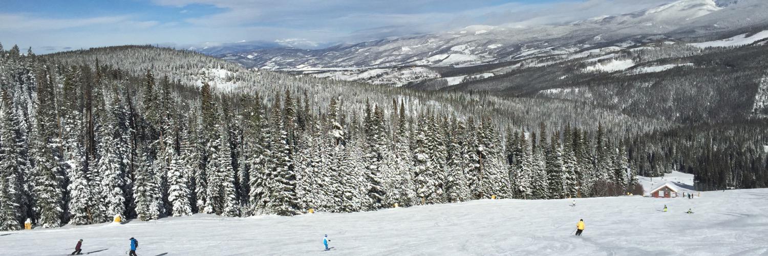 Rebekah Miller banner