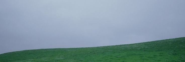 ฟ้าว banner