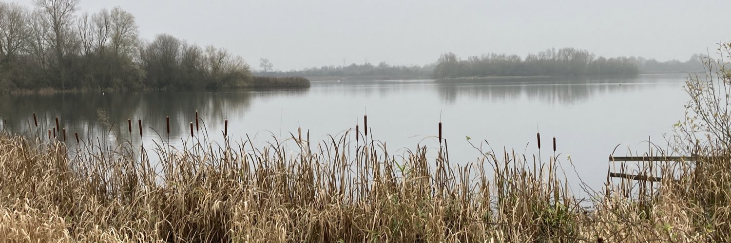 Matthew Berry banner