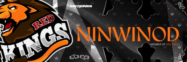 NinwinoD Profile Banner