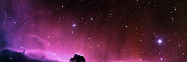 AHayanasser Profile Banner